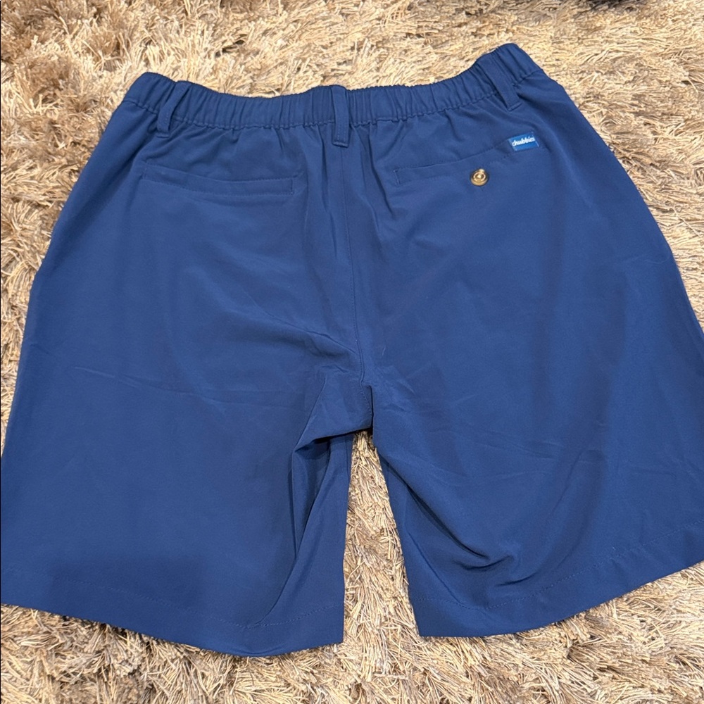 Blue Chubbies Shorts - Picture 2 of 3